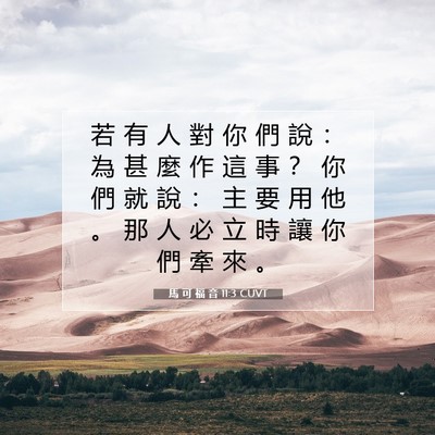 Picture 07 - 馬 可 福 音 11:3 CUVT - 若 有 人 對 你 們 說 ： 為 甚 麼 作 - Bible Verse Picture