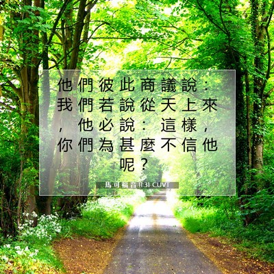 Picture 07 - 馬 可 福 音 11:31 CUVT - 他 們 彼 此 商 議 說 ： 我 們 若 說 - Bible Verse Picture
