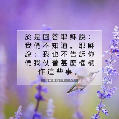 Picture 07 - 馬 可 福 音 11:33 CUVT - 於 是 回 答 耶 穌 說 ： 我 們 不 知 - Bible Verse Picture
