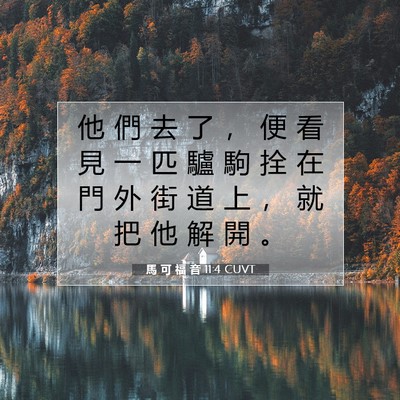 Picture 07 - 馬 可 福 音 11:4 CUVT - 他 們 去 了 ， 便 看 見 一 匹 驢 駒 - Bible Verse Picture