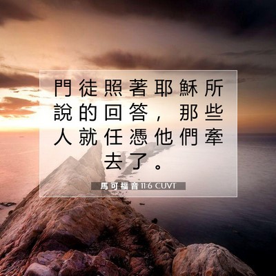 Picture 07 - 馬 可 福 音 11:6 CUVT - 門 徒 照 著 耶 穌 所 說 的 回 答 ， - Bible Verse Picture