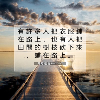 Picture 07 - 馬 可 福 音 11:8 CUVT - 有 許 多 人 把 衣 服 鋪 在 路 上 ， - Bible Verse Picture