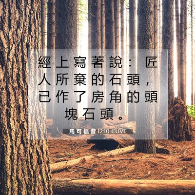 Picture 07 - 馬 可 福 音 12:10 CUVT - 經 上 寫 著 說 ： 匠 人 所 棄 的 石 - Bible Verse Picture
