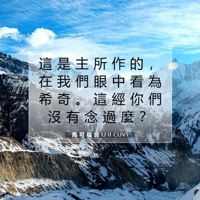 Picture 07 - 馬 可 福 音 12:11 CUVT - 這 是 主 所 作 的 ， 在 我 們 眼 中 - Bible Verse Picture