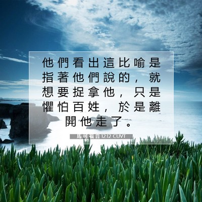 Picture 07 - 馬 可 福 音 12:12 CUVT - 他 們 看 出 這 比 喻 是 指 著 他 們 - Bible Verse Picture