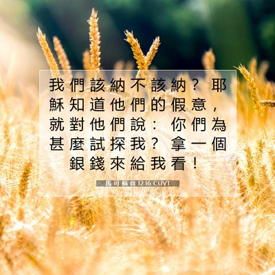 Picture 07 - 馬 可 福 音 12:16 CUVT - 我 們 該 納 不 該 納 ？ 耶 穌 知 道 - Bible Verse Picture
