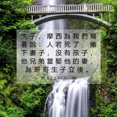 Picture 07 - 馬 可 福 音 12:19 CUVT - 夫 子 ， 摩 西 為 我 們 寫 著 說 ： - Bible Verse Picture
