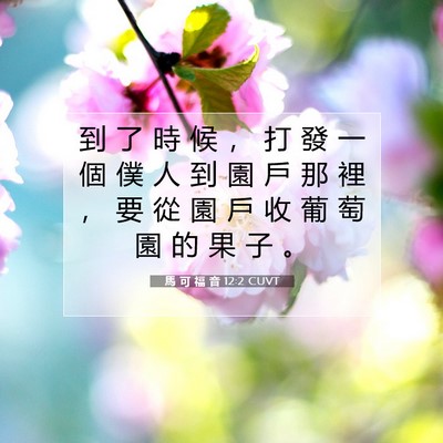 Picture 07 - 馬 可 福 音 12:2 CUVT - 到 了 時 候 ， 打 發 一 個 僕 人 到 - Bible Verse Picture