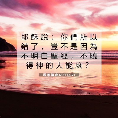 Picture 07 - 馬 可 福 音 12:24 CUVT - 耶 穌 說 ： 你 們 所 以 錯 了 ， 豈 - Bible Verse Picture