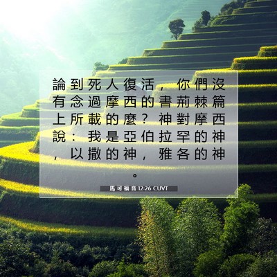 Picture 07 - 馬 可 福 音 12:26 CUVT - 論 到 死 人 復 活 ， 你 們 沒 有 念 - Bible Verse Picture