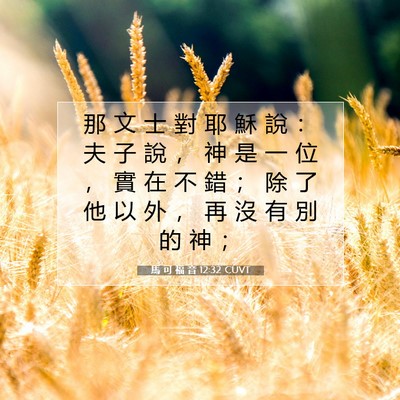 Picture 07 - 馬 可 福 音 12:32 CUVT - 那 文 士 對 耶 穌 說 ： 夫 子 說 ， - Bible Verse Picture