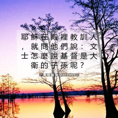 Picture 07 - 馬 可 福 音 12:35 CUVT - 耶 穌 在 殿 裡 教 訓 人 ， 就 問 他 - Bible Verse Picture