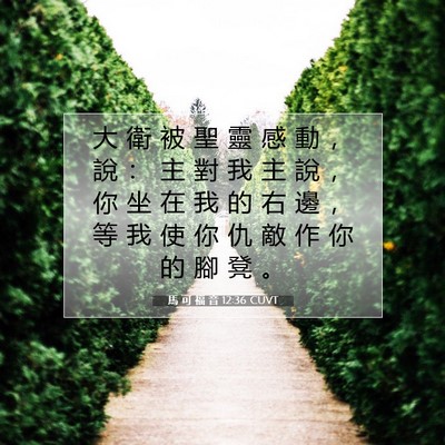 Picture 07 - 馬 可 福 音 12:36 CUVT - 大 衛 被 聖 靈 感 動 ， 說 ： 主 對 - Bible Verse Picture