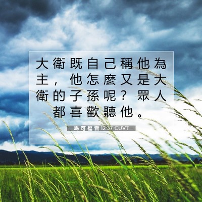 Picture 07 - 馬 可 福 音 12:37 CUVT - 大 衛 既 自 己 稱 他 為 主 ， 他 怎 - Bible Verse Picture