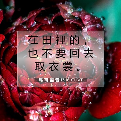 Picture 07 - 馬 可 福 音 13:16 CUVT - 在 田 裡 的 ， 也 不 要 回 去 取 衣 - Bible Verse Picture