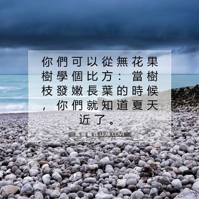 Picture 07 - 馬 可 福 音 13:28 CUVT - 你 們 可 以 從 無 花 果 樹 學 個 比 - Bible Verse Picture