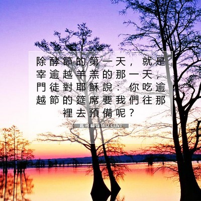 Picture 07 - 馬 可 福 音 14:12 CUVT - 除 酵 節 的 第 一 天 ， 就 是 宰 逾 - Bible Verse Picture