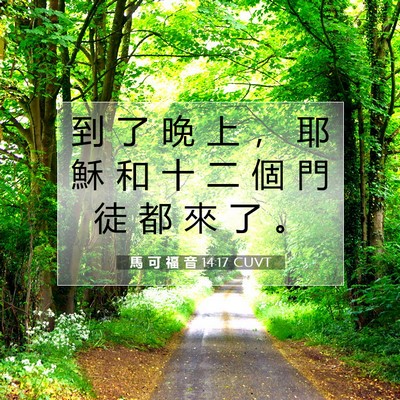 Picture 07 - 馬 可 福 音 14:17 CUVT - 到 了 晚 上 ， 耶 穌 和 十 二 個 門 - Bible Verse Picture