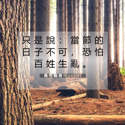 Picture 07 - 馬 可 福 音 14:2 CUVT - 只 是 說 ： 當 節 的 日 子 不 可 ， - Bible Verse Picture