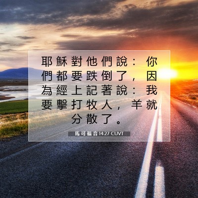 Picture 07 - 馬 可 福 音 14:27 CUVT - 耶 穌 對 他 們 說 ： 你 們 都 要 跌 - Bible Verse Picture