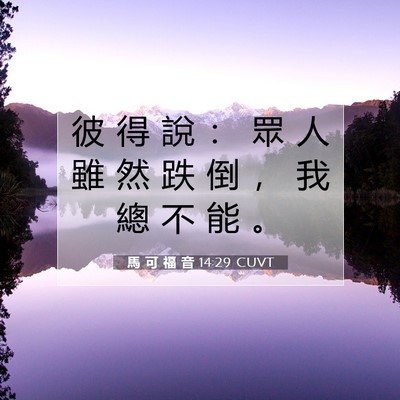 Picture 07 - 馬 可 福 音 14:29 CUVT - 彼 得 說 ： 眾 人 雖 然 跌 倒 ， 我 - Bible Verse Picture