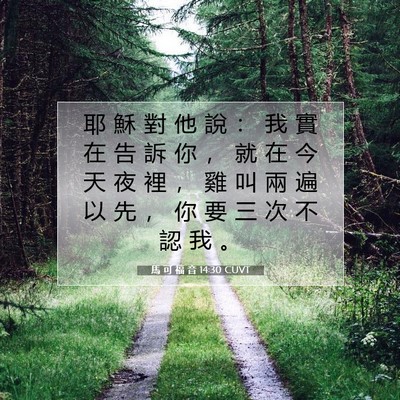 Picture 07 - 馬 可 福 音 14:30 CUVT - 耶 穌 對 他 說 ： 我 實 在 告 訴 你 - Bible Verse Picture