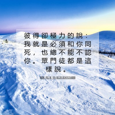 Picture 07 - 馬 可 福 音 14:31 CUVT - 彼 得 卻 極 力 的 說 ： 我 就 是 必 - Bible Verse Picture