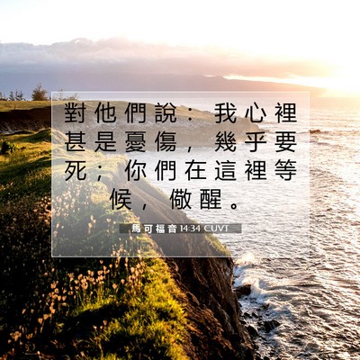 Picture 07 - 馬 可 福 音 14:34 CUVT - 對 他 們 說 ： 我 心 裡 甚 是 憂 傷 - Bible Verse Picture