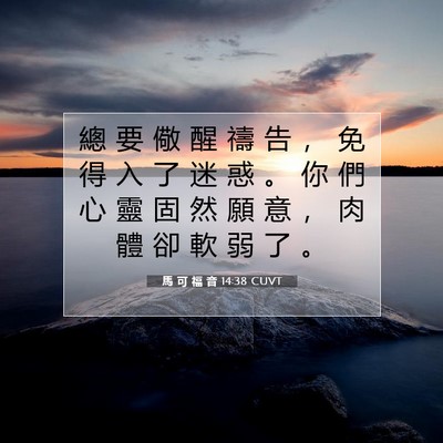 Picture 07 - 馬 可 福 音 14:38 CUVT - 總 要 儆 醒 禱 告 ， 免 得 入 了 迷 - Bible Verse Picture
