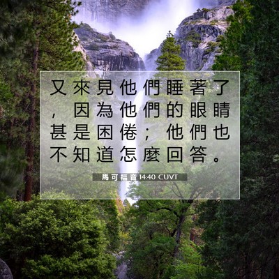Picture 07 - 馬 可 福 音 14:40 CUVT - 又 來 見 他 們 睡 著 了 ， 因 為 他 - Bible Verse Picture