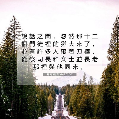 Picture 07 - 馬 可 福 音 14:43 CUVT - 說 話 之 間 ， 忽 然 那 十 二 個 門 - Bible Verse Picture