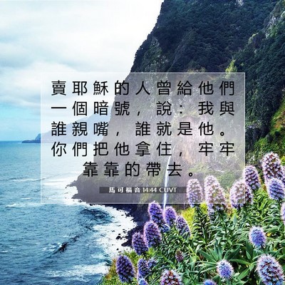 Picture 07 - 馬 可 福 音 14:44 CUVT - 賣 耶 穌 的 人 曾 給 他 們 一 個 暗 - Bible Verse Picture