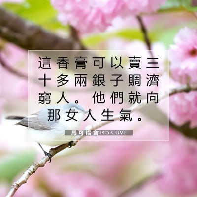 Picture 07 - 馬 可 福 音 14:5 CUVT - 這 香 膏 可 以 賣 三 十 多 兩 銀 子 - Bible Verse Picture