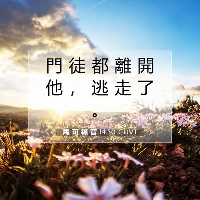 Picture 07 - 馬 可 福 音 14:50 CUVT - 門 徒 都 離 開 他 ， 逃 走 了 - Bible Verse Picture