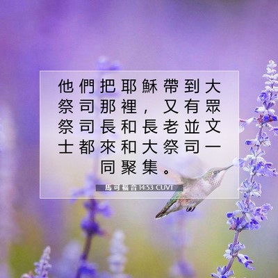 Picture 07 - 馬 可 福 音 14:53 CUVT - 他 們 把 耶 穌 帶 到 大 祭 司 那 裡 - Bible Verse Picture