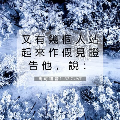 Picture 07 - 馬 可 福 音 14:57 CUVT - 又 有 幾 個 人 站 起 來 作 假 見 證 - Bible Verse Picture