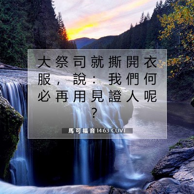 Picture 07 - 馬 可 福 音 14:63 CUVT - 大 祭 司 就 撕 開 衣 服 ， 說 ： 我 - Bible Verse Picture
