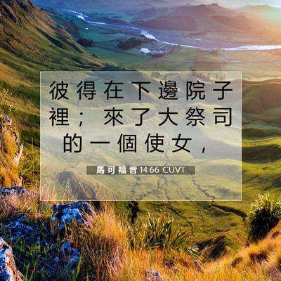 Picture 07 - 馬 可 福 音 14:66 CUVT - 彼 得 在 下 邊 院 子 裡 ； 來 了 大 - Bible Verse Picture