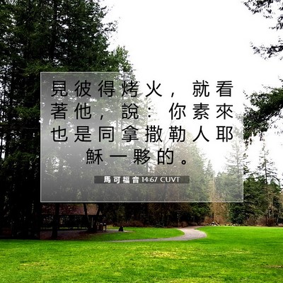 Picture 07 - 馬 可 福 音 14:67 CUVT - 見 彼 得 烤 火 ， 就 看 著 他 ， 說 - Bible Verse Picture