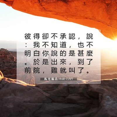 Picture 07 - 馬 可 福 音 14:68 CUVT - 彼 得 卻 不 承 認 ， 說 ： 我 不 知 - Bible Verse Picture