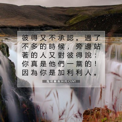Picture 07 - 馬 可 福 音 14:70 CUVT - 彼 得 又 不 承 認 。 過 了 不 多 的 - Bible Verse Picture