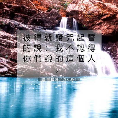 Picture 07 - 馬 可 福 音 14:71 CUVT - 彼 得 就 發 咒 起 誓 的 說 ： 我 不 - Bible Verse Picture