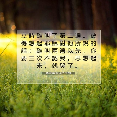 Picture 07 - 馬 可 福 音 14:72 CUVT - 立 時 雞 叫 了 第 二 遍 。 彼 得 想 - Bible Verse Picture
