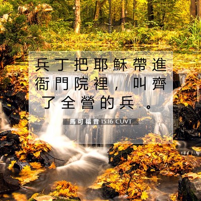 Picture 07 - 馬 可 福 音 15:16 CUVT - 兵 丁 把 耶 穌 帶 進 衙 門 院 裡 ， - Bible Verse Picture