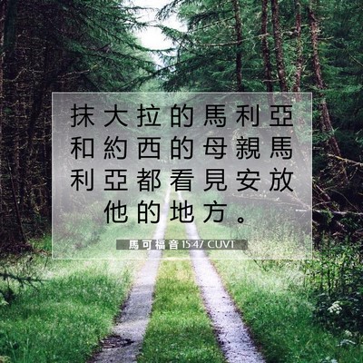 Picture 07 - 馬 可 福 音 15:47 CUVT - 抹 大 拉 的 馬 利 亞 和 約 西 的 母 - Bible Verse Picture