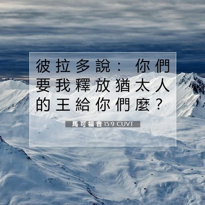 Picture 07 - 馬 可 福 音 15:9 CUVT - 彼 拉 多 說 ： 你 們 要 我 釋 放 猶 - Bible Verse Picture