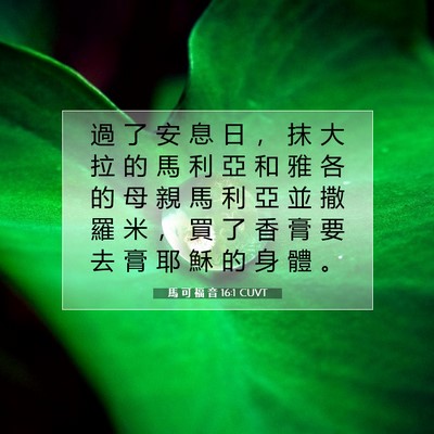 Picture 07 - 馬 可 福 音 16:1 CUVT - 過 了 安 息 日 ， 抹 大 拉 的 馬 利 - Bible Verse Picture