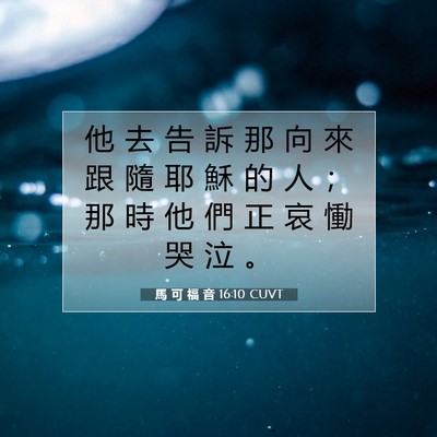 Picture 07 - 馬 可 福 音 16:10 CUVT - 他 去 告 訴 那 向 來 跟 隨 耶 穌 的 - Bible Verse Picture