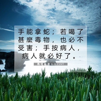 Picture 07 - 馬 可 福 音 16:18 CUVT - 手 能 拿 蛇 ； 若 喝 了 甚 麼 毒 物 - Bible Verse Picture