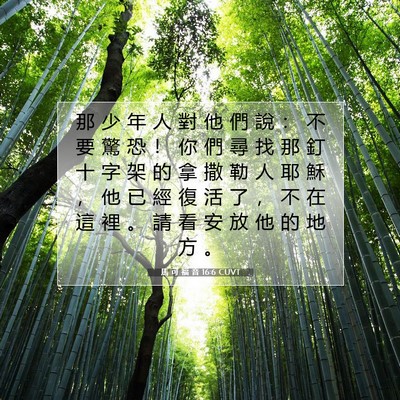 Picture 07 - 馬 可 福 音 16:6 CUVT - 那 少 年 人 對 他 們 說 ： 不 要 驚 - Bible Verse Picture